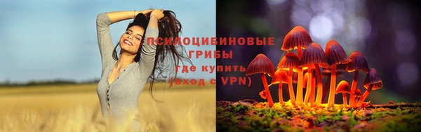 каннабис Алексеевка