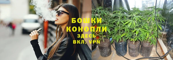 трава Алзамай